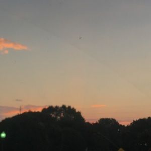 Meet your Posher, Hayden